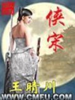 Bìa truyện Hiệp Tống (侠宋)