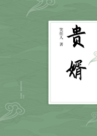 Bìa truyện Quý Tế (贵婿)