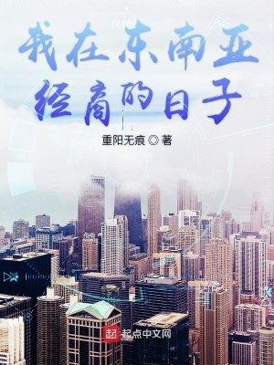 Bìa truyện Ngã Tại Đông Nam Á Kinh Thương Đích Nhật Tử (我在东南亚经商的日子)
