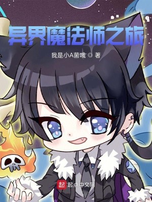 Bìa truyện Dị Giới Ma Pháp Sư Chi Lữ (异界魔法师之旅)