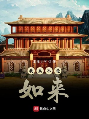 Bìa truyện Ngã Chân Bất Thị Như Lai (我真不是如来)