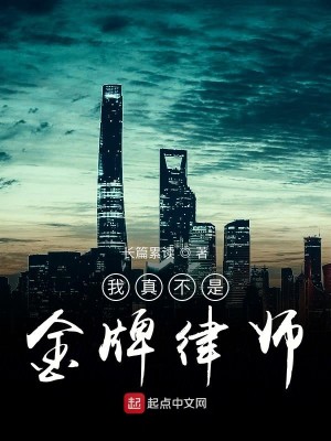Bìa truyện Ngã Chân Bất Thị Kim Bài Luật Sư (我真不是金牌律师)
