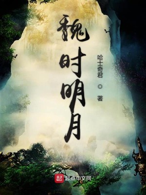 Bìa truyện Ngụy Thời Minh Nguyệt (魏时明月)