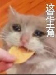 Bìa truyện Minh Tá Điều Giáo Nhật Kí (鸣佐调教日记)