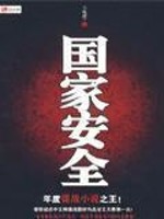 Bìa truyện Quốc Gia An Toàn (国家安全)