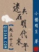Bìa truyện Mê Thất Tại Minh Đại Mạt Niên (迷失在明代末年)