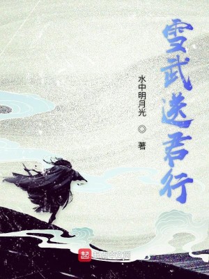 Bìa truyện Tam Thập Cực Dạ (三十极夜)