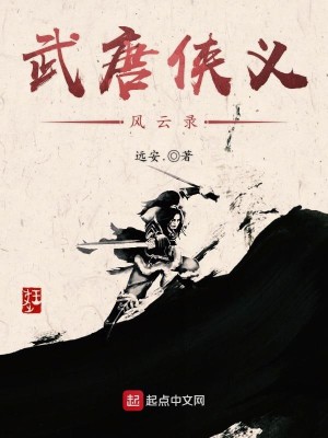 Bìa truyện Vũ Đường Hiệp Nghĩa Phong Vân Lục (武唐侠义风云录)