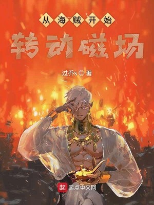 Bìa truyện Tòng Hải Tặc Khai Thủy Chuyển Động Từ Trường (从海贼开始转动磁场)