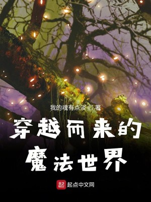 Bìa truyện Xuyên Việt Nhi Lai Đích Ma Pháp Thế Giới (穿越而来的魔法世界)