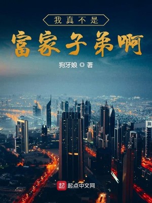 Bìa truyện Ngã Chân Bất Thị Phú Gia Tử Đệ A (我真不是富家子弟啊)