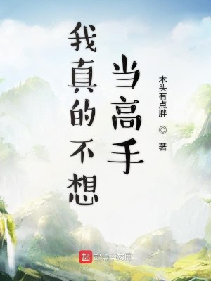 Bìa truyện Ngã Chân Đích Bất Tưởng Đương Cao Thủ (我真的不想当高手)