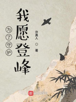 Bìa truyện Vi Liễu Thủ Hộ Ngã Nguyện Đăng Phong (为了守护我愿登峰)