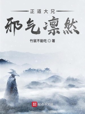 Bìa truyện Chính Đạo Đại Huynh Tà Khí Lẫm Nhiên (正道大兄邪气凛然)