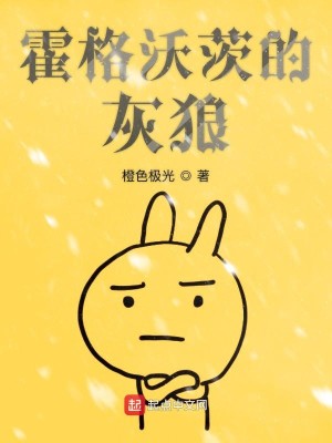 Bìa truyện Hoắc Cách Ốc Tì Đích Hôi Lang (霍格沃茨的灰狼)