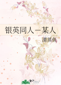 Bìa truyện Ngân Anh Đồng Nhân Mỗ Nhân (银英同人－某人)