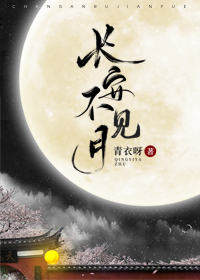 Bìa truyện Trường An Bất Kiến Nguyệt (长安不见月)
