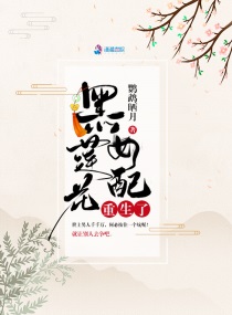 Bìa truyện Hắc Liên Hoa Nữ Phối Trọng Sinh Liễu (黑莲花女配重生了)