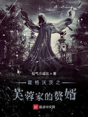 Bìa truyện Hoắc Cách Ốc Tì Chi Phù Dung Gia Đích Chuế Tế (霍格沃茨之芙蓉家的赘婿)