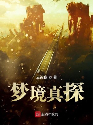 Bìa truyện Mộng Cảnh Chân Thám (梦境真探)