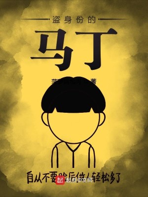 Bìa truyện Đạo Thân Phân Đích Mã Đinh (盗身份的马丁)