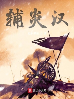 Bìa truyện Phụ Viêm Hán (辅炎汉)