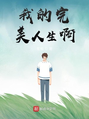 Bìa truyện Ngã Đích Hoàn Mĩ Nhân Sinh A (我的完美人生啊)