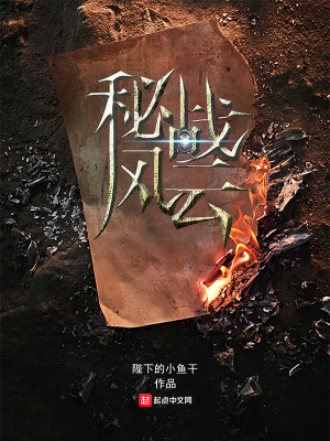 Bìa truyện Bí Chiến Phong Vân (秘战风云)