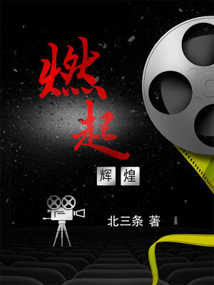 Bìa truyện Nhiên Khởi Huy Hoàng (燃起辉煌)