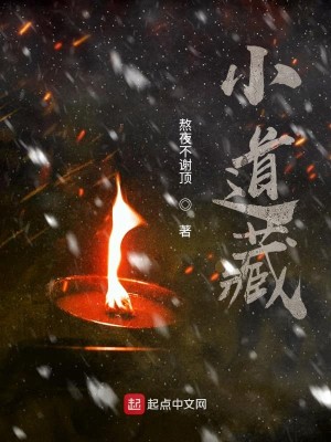 Bìa truyện Tiểu Đạo Tàng (小道藏)