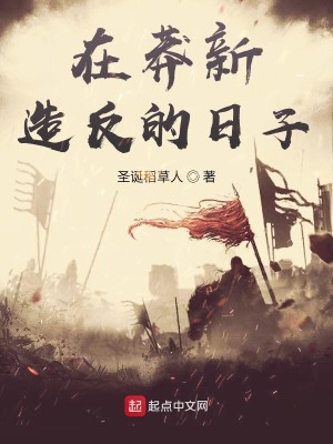 Bìa truyện Tại Mãng Tân Tạo Phản Đích Nhật Tử (在莽新造反的日子)