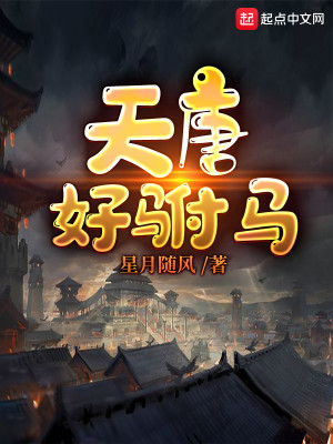 Bìa truyện Thiên Đường Hảo Phụ Mã (天唐好驸马)