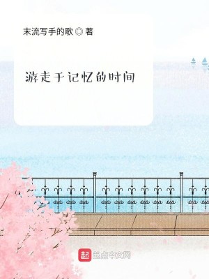 Bìa truyện Du Tẩu Vu Kí Ức Đích Thời Gian (游走于记忆的时间)