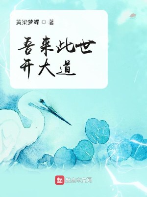 Bìa truyện Ngô Lai Thử Thế Khai Đại Đạo (吾来此世开大道)