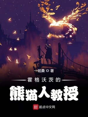 Bìa truyện Hoắc Cách Ốc Tì Đích Hùng Miêu Nhân Giáo Thụ (霍格沃茨的熊猫人教授)