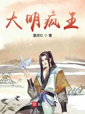 Bìa truyện Đại Minh Phong Vương (大明疯王)