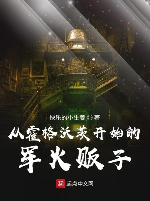 Bìa truyện Tòng Hoắc Cách Ốc Tì Khai Thủy Đích Quân Hỏa Phiến Tử (从霍格沃茨开始的军火贩子)