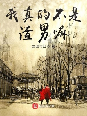 Bìa truyện Trọng Khải 2009 (重启2009)