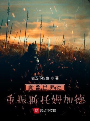 Bìa truyện Ma Thú Thế Giới Chi Trọng Chấn Tư Thác Mỗ Gia Đức (魔兽世界之重振斯托姆加德)