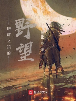 Bìa truyện Phì Tiền Chi Lang Đích Dã Vọng (肥前之狼的野望)