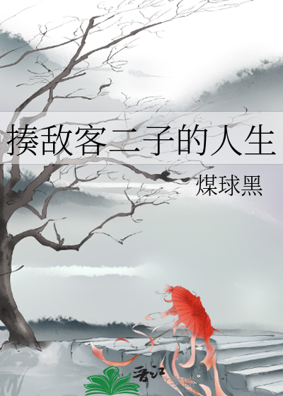 Bìa truyện Tấu Địch Khách Nhị Tử Đích Nhân Sinh (揍敌客二子的人生)