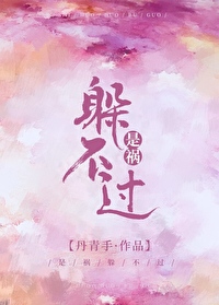Bìa truyện Thị Họa Đóa Bất Quá (是祸躲不过)