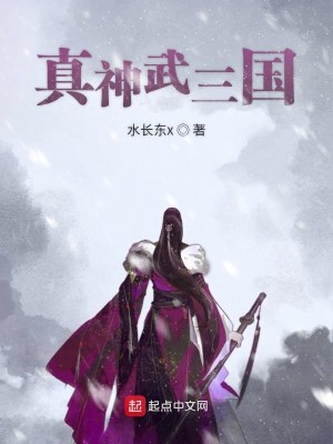 Bìa truyện Chân Thần Vũ Tam Quốc (真神武三国)