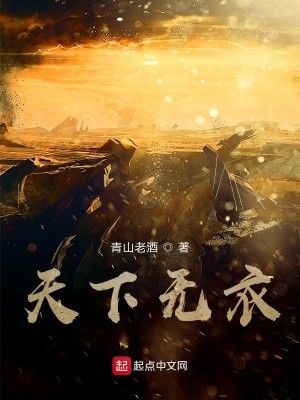 Bìa truyện Thiên Hạ Vô Y (天下无衣)