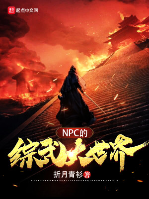Bìa truyện Npc Đích Tống Vũ Đại Thế Giới (NPC的综武大世界)