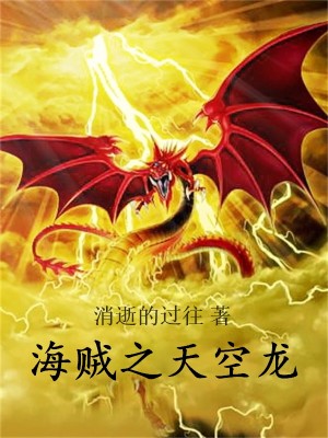 Bìa truyện Hải Tặc Chi Thiên Không Long (海贼之天空龙)