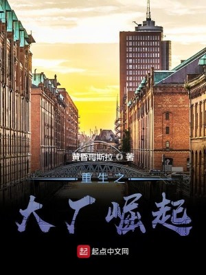 Bìa truyện Trọng Sinh Chi Đại Hán Quật Khởi (重生之大厂崛起)