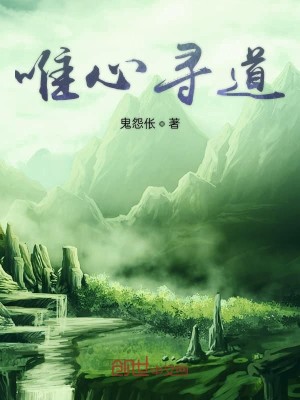 Bìa truyện Duy Tâm Tầm Đạo (唯心寻道)