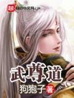 Bìa truyện Vũ Tôn Đạo (武尊道)