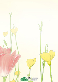 Bìa truyện Khôi Hạ (瑰夏)